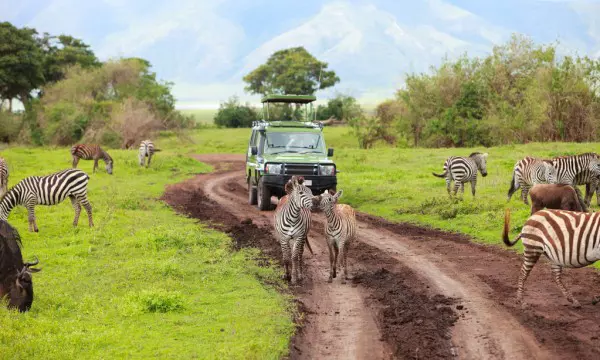 6 Days Tanzania Sharing Safari 2024