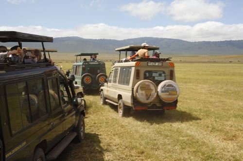 Top 5 Private Safari Parks in Tanzania