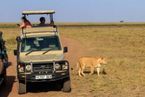 4 Days Serengeti Balloon Safari Package