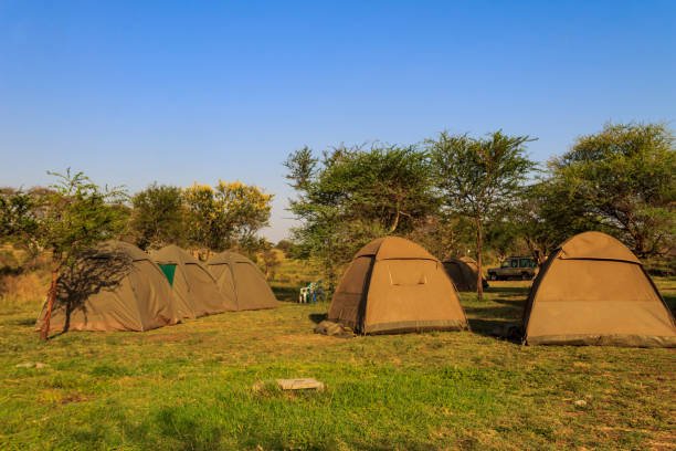 Budget Camping Safari from Arusha